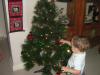 Thanasi and the tree